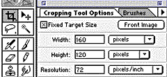 Screenshot of the Cropping Tool palettes in Photoshop